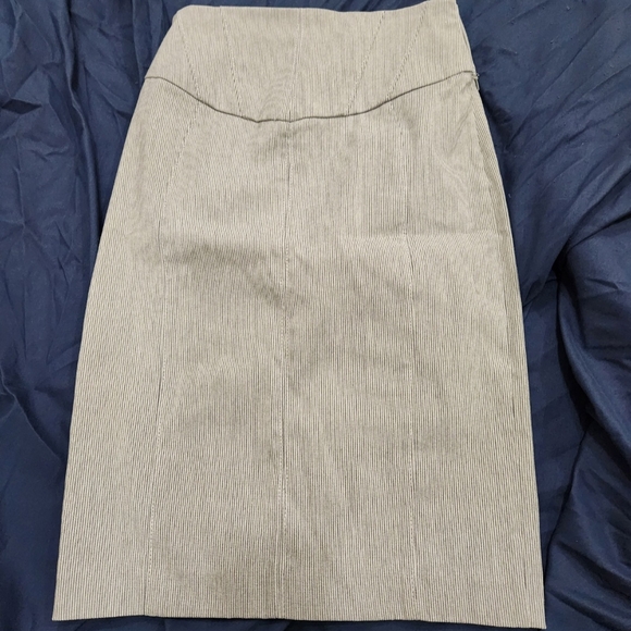 Elegant Gray Pinstripe Skirt - Picture 1 of 3